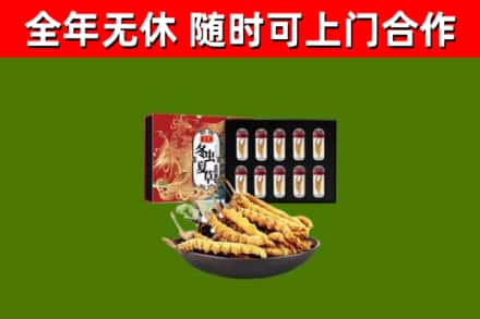 灌阳县烟酒回收冬虫夏草礼盒.jpg